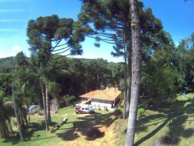 Ch&aacute;cara para Venda na cidade de Mandirituba no bairro GUAPIARA